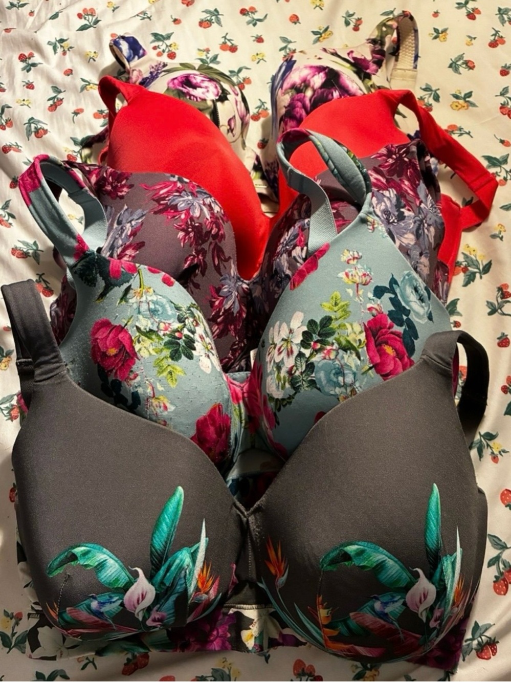 17 bars Womens Floral & Solid Underwire Bra Pack - Gray, Light Blue, Purple, Red